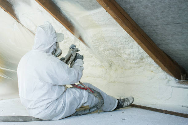 Best Wall Insulation Installation  in Alturas, FL