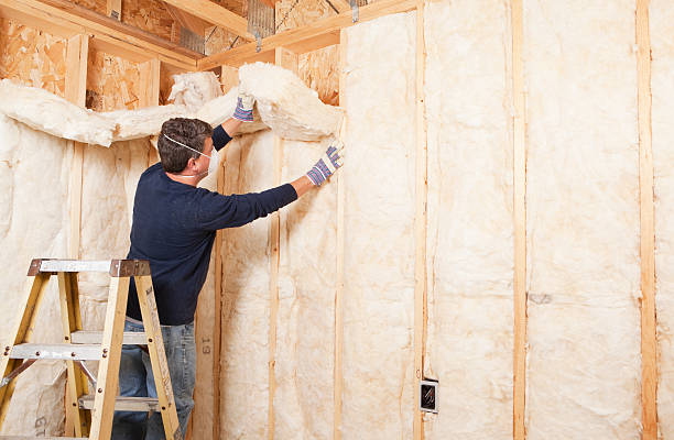 Best Insulation for New Construction  in Alturas, FL